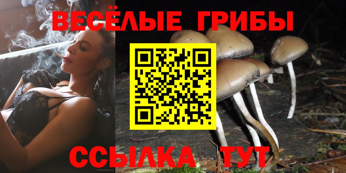 Галлюциногенные грибы Cubensis Вологда